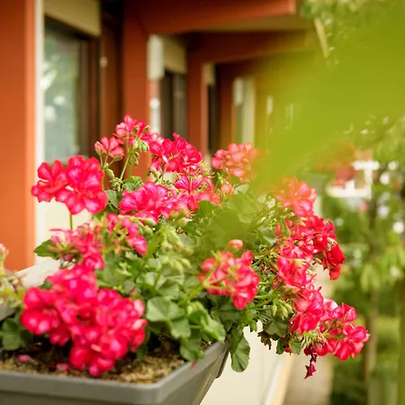 فندق Campanile & Restaurant