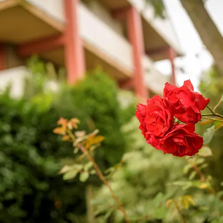 Campanile & Restaurant 3*