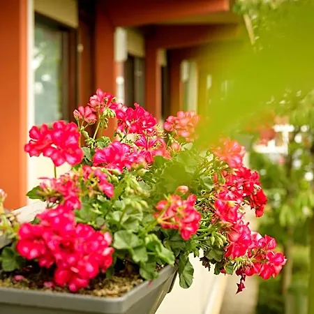 Campanile & Restaurant Hotel 3*