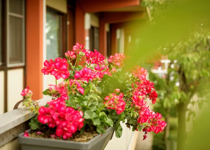 Szálloda Campanile & Restaurant