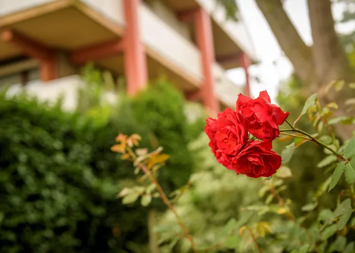 Campanile & Restaurant 3*